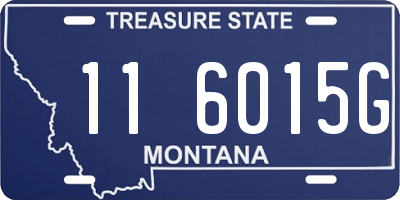 MT license plate 116015G