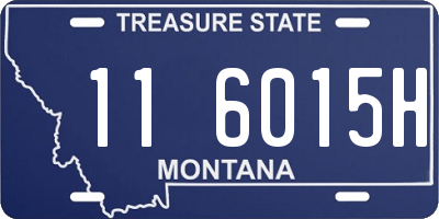 MT license plate 116015H
