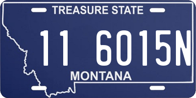 MT license plate 116015N