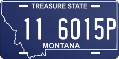 MT license plate 116015P