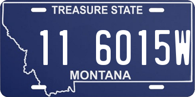 MT license plate 116015W