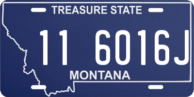 MT license plate 116016J