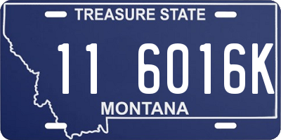 MT license plate 116016K