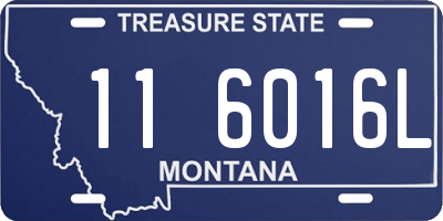 MT license plate 116016L