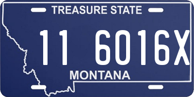 MT license plate 116016X