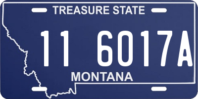 MT license plate 116017A