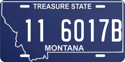 MT license plate 116017B