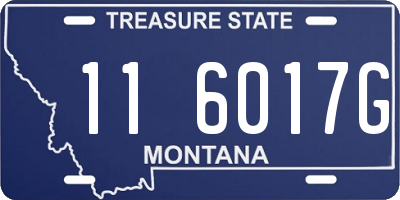 MT license plate 116017G
