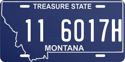 MT license plate 116017H
