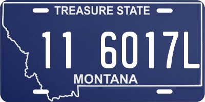 MT license plate 116017L