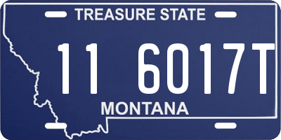 MT license plate 116017T