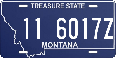 MT license plate 116017Z