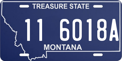 MT license plate 116018A