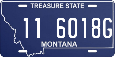MT license plate 116018G