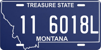 MT license plate 116018L