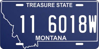 MT license plate 116018W