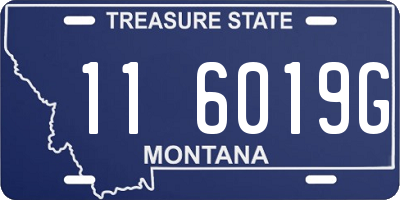 MT license plate 116019G
