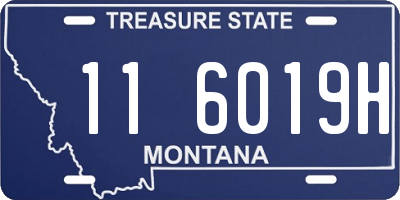 MT license plate 116019H