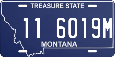 MT license plate 116019M