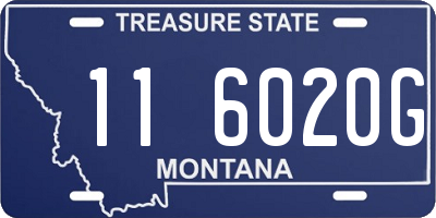 MT license plate 116020G