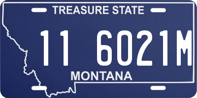 MT license plate 116021M