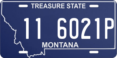 MT license plate 116021P