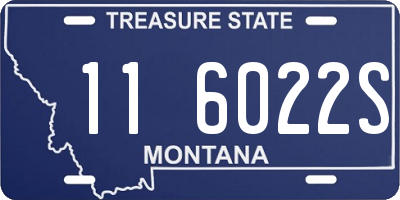 MT license plate 116022S