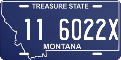 MT license plate 116022X