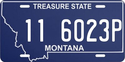 MT license plate 116023P