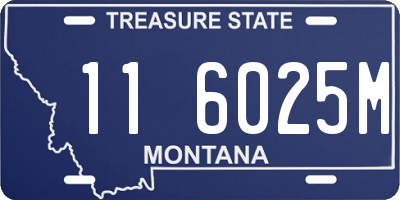 MT license plate 116025M