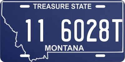 MT license plate 116028T