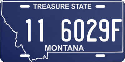 MT license plate 116029F