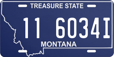 MT license plate 116034I