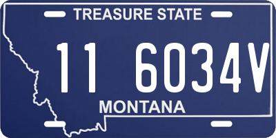 MT license plate 116034V