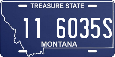 MT license plate 116035S