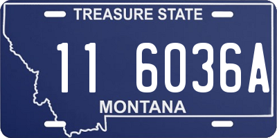 MT license plate 116036A
