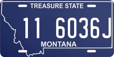 MT license plate 116036J
