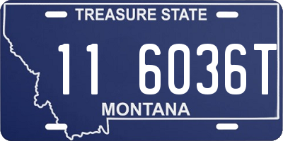 MT license plate 116036T