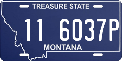 MT license plate 116037P