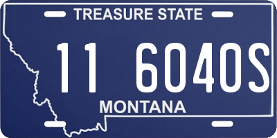 MT license plate 116040S