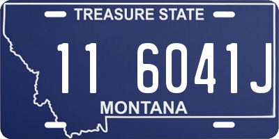 MT license plate 116041J