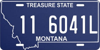 MT license plate 116041L