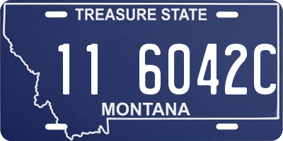 MT license plate 116042C