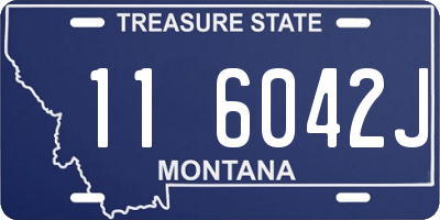 MT license plate 116042J