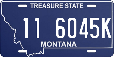 MT license plate 116045K