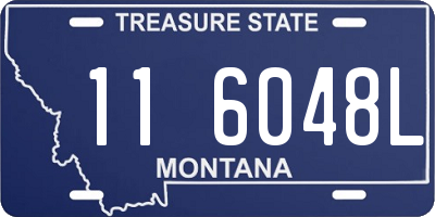 MT license plate 116048L