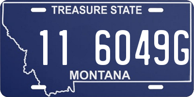 MT license plate 116049G