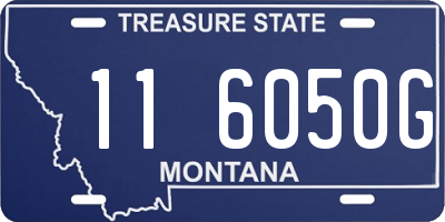 MT license plate 116050G