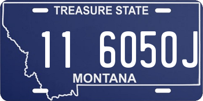 MT license plate 116050J