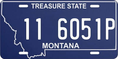 MT license plate 116051P